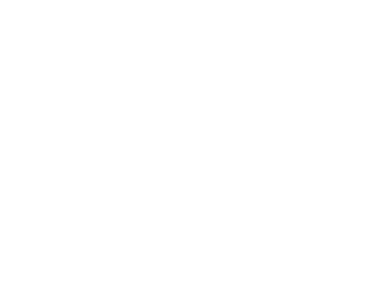 Client Logo 13