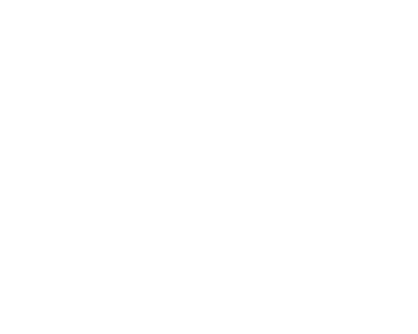 Client Logo 2
